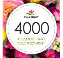 Подарочный сертификат