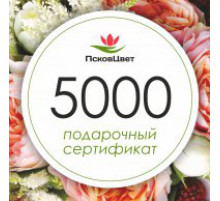 Подарочный сертификат