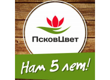 "ПсковЦвет" нам 5 лет!