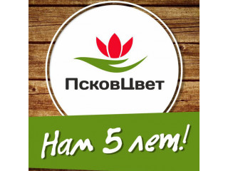 "ПсковЦвет" нам 5 лет!