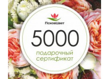 Подарочные сертификаты